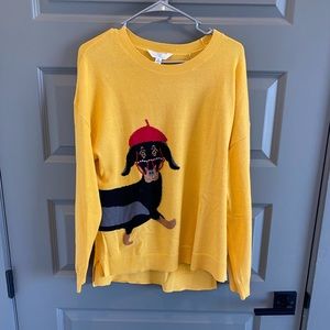 Gorgeous, yellow dachshund sweater